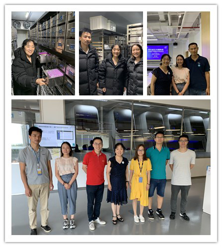 图片33.jpg 图片33.jpg