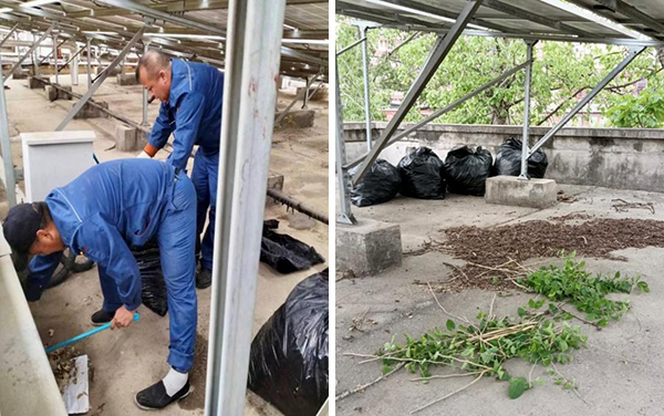 图片20.jpg 图片20.jpg